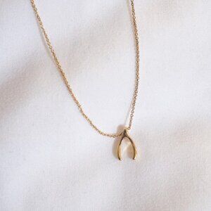 Gold Wishbone Necklace